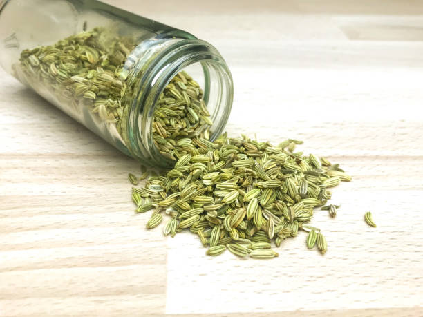 Fresh Organic Fennel Seeds